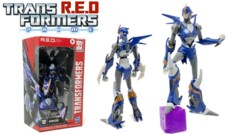 Arcee 6